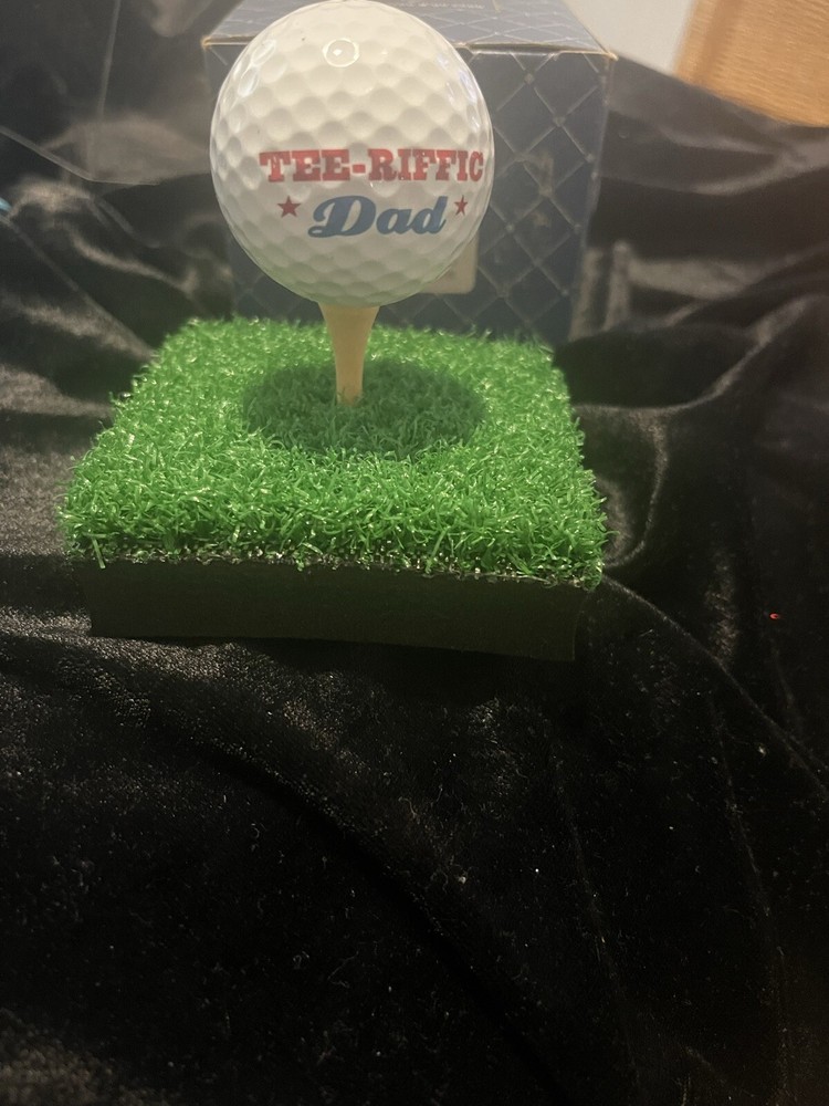 NIB Hallmark Tee-Riffic Dad. Dadcore. Whimsical