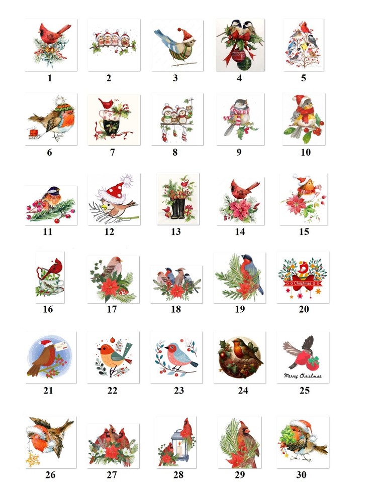 Personalized Address labels Cute Christmas Birds (FA 44)