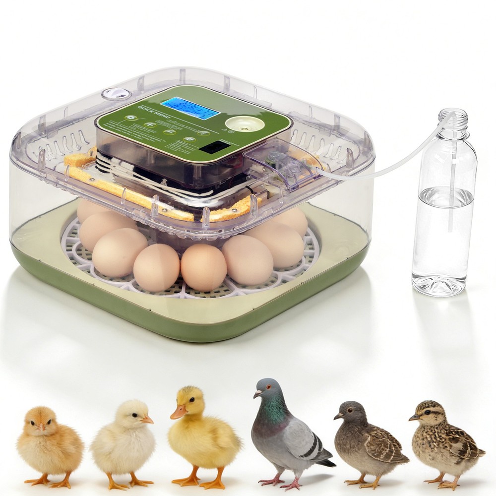 12 Eggs Incubator Fully Automatic Turning & Water Refill Temp & Humidity Control