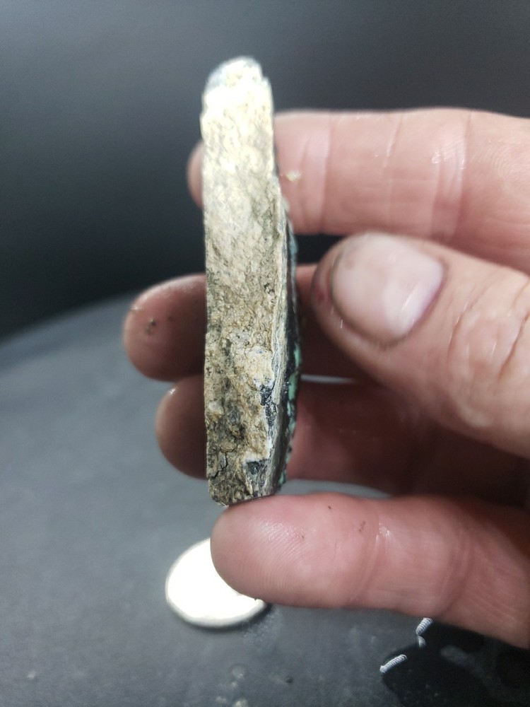 Nevada Saguaro Variscite Slab