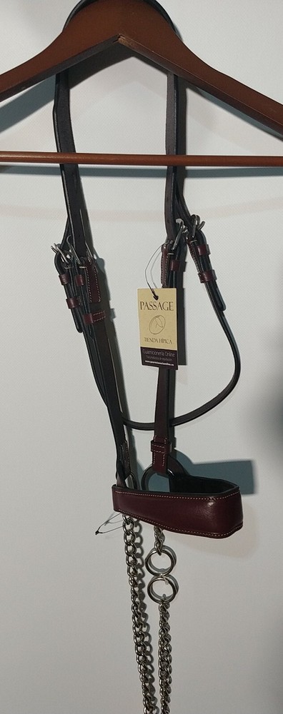 Passage Equestrian Bridle  full size (DD)