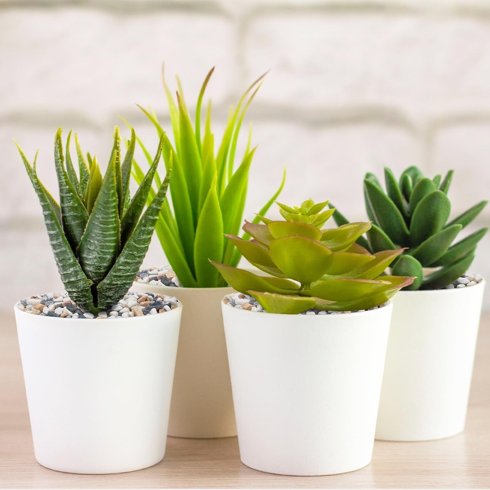 2.5 lbs Pebbles for Indoor Plants