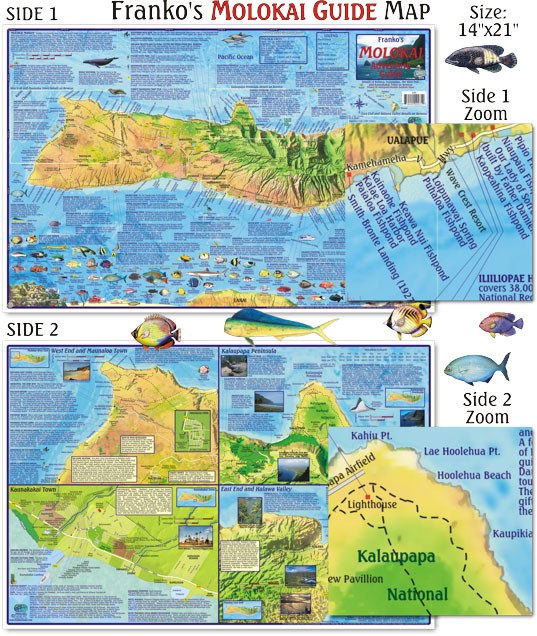 Franko Maps - Molokai Guide Map