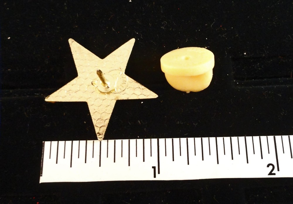 EASTERN STAR MASONIC PIN : EASTERN STAR LOGO