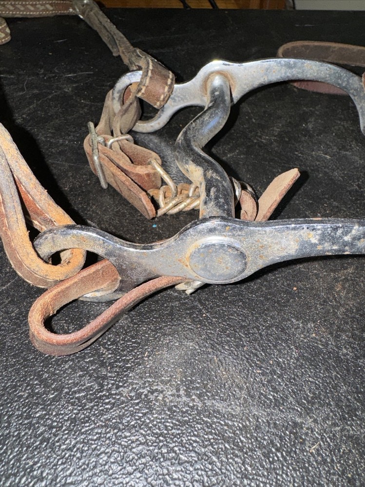 Western Bit 5” Width 7.5” Length With Leather Harness