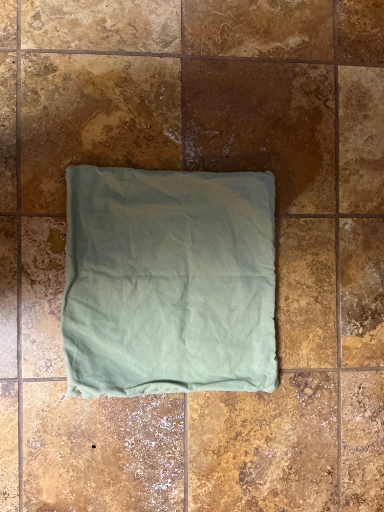 Pottery Barn Accent pillow Sage Green