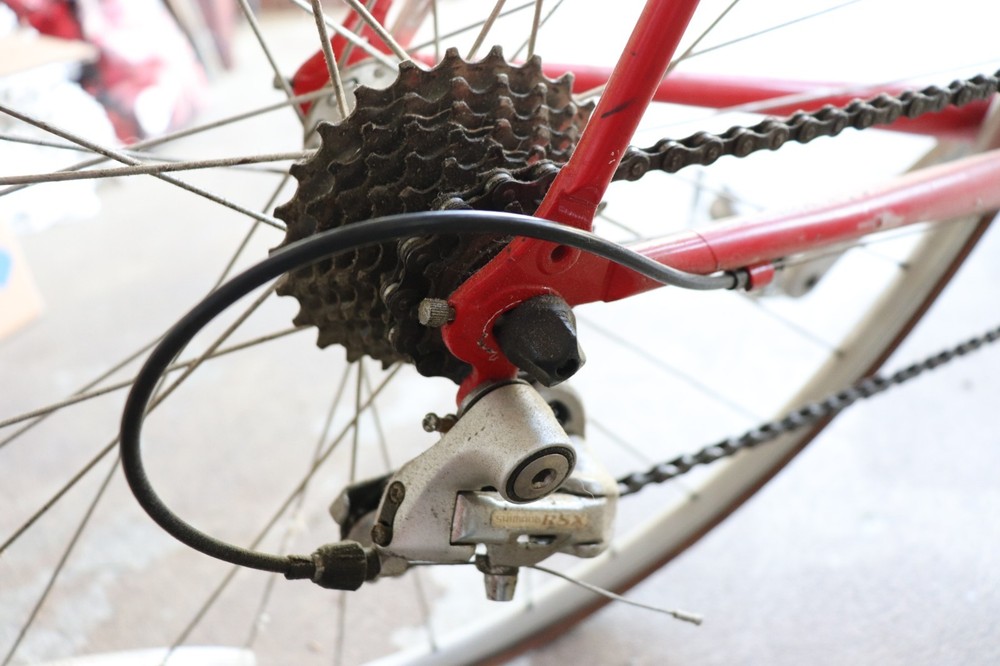 Lemond Reynolds Bicycle Racing