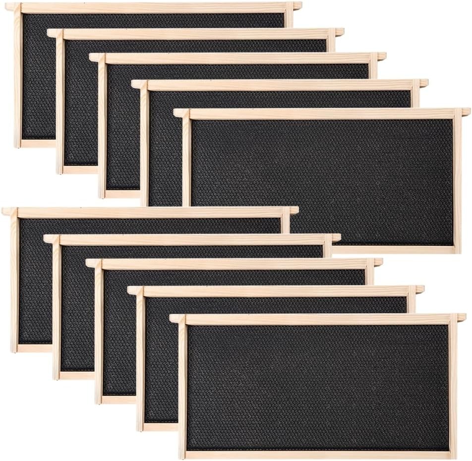 Deep Brood Bee Frames and Wax Foundations,10 Pack Honey Beehive Frames with Bees