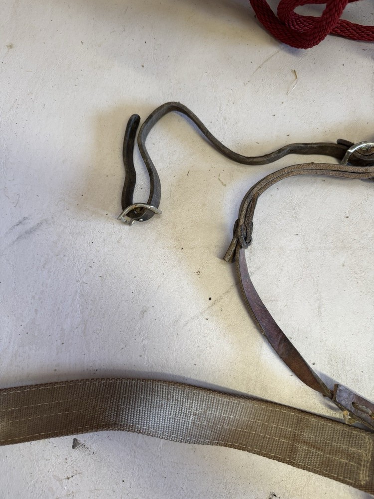 horse nylon breast collar