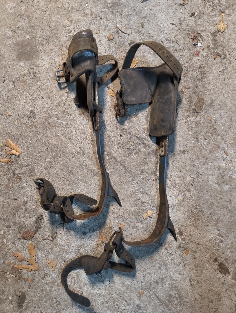 klein and sons tree climbing spikes Model 1972 ?