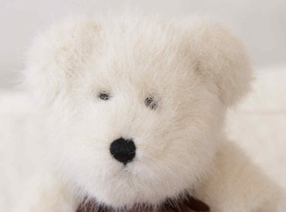 Boyd's Bears Buddie B. Backpakin