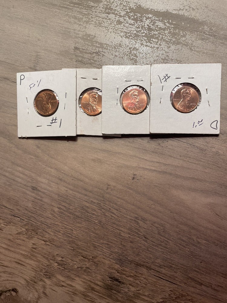2009 Alternate Pennies