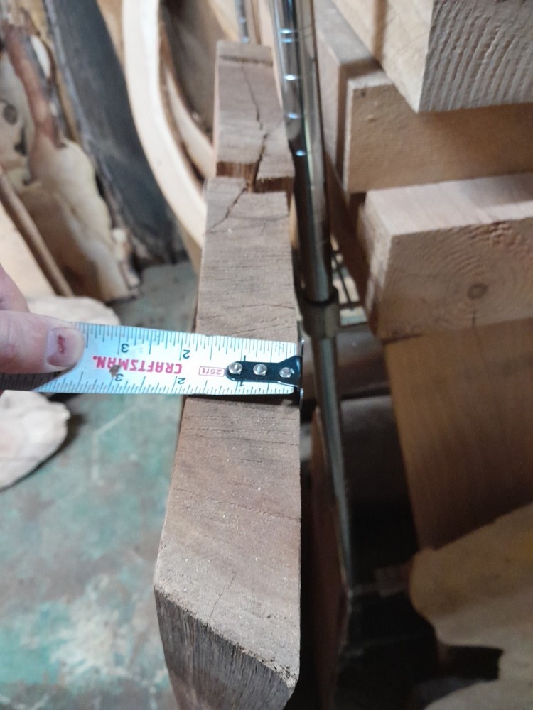Palm Tree Live Edge Slab