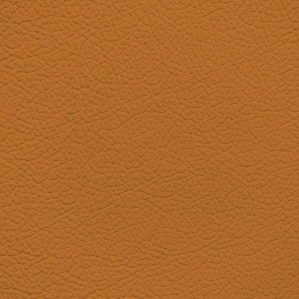 BMW E-Copper Leather Dye
