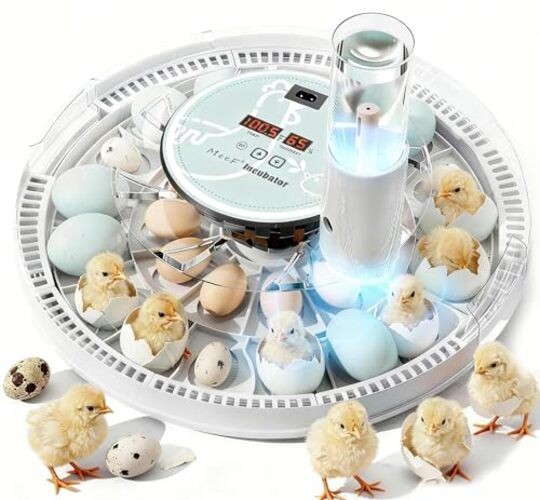 Egg Incubator for Hatching 28 Eggs, Auto Flip, Independent Atomizing