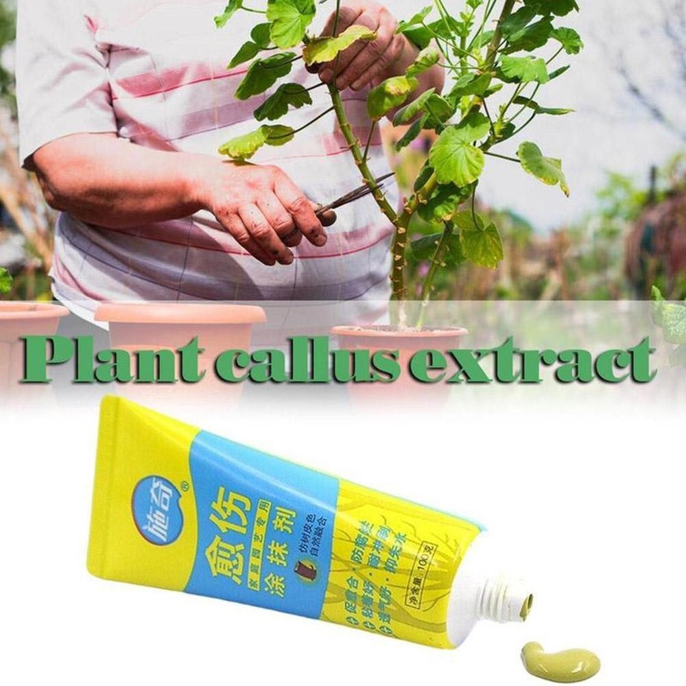 1*Sealant Tree Wound Cut Paste TreeWound Smear Agent Compound Pruning X9N3