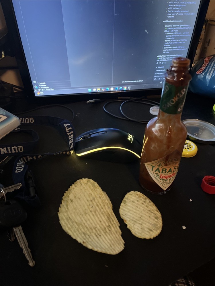 Worlds Biggest Ruffles Chip