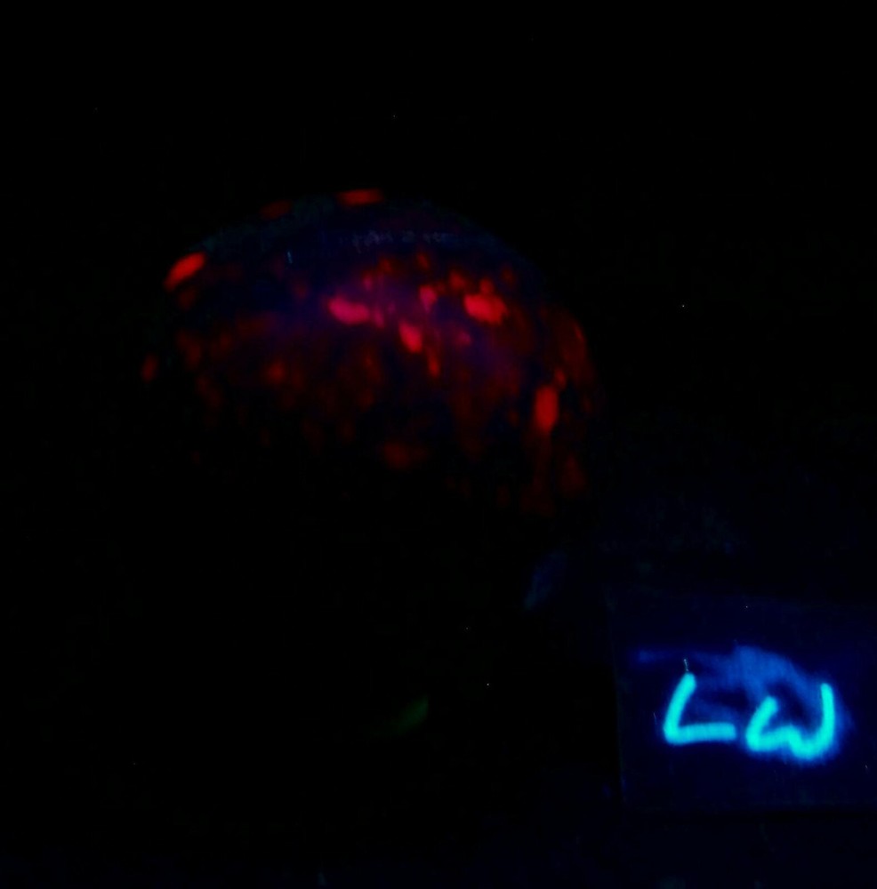 Fluorescent Ruby in Fuchsite 60mm Collection Sphere 5087