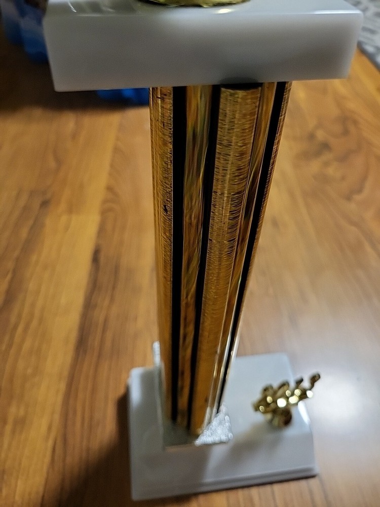 19" 2013 1st Place Trophy Billiards