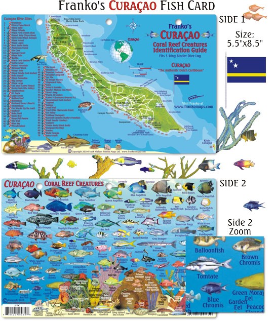 Franko Maps - Curacao Reef Fish ID