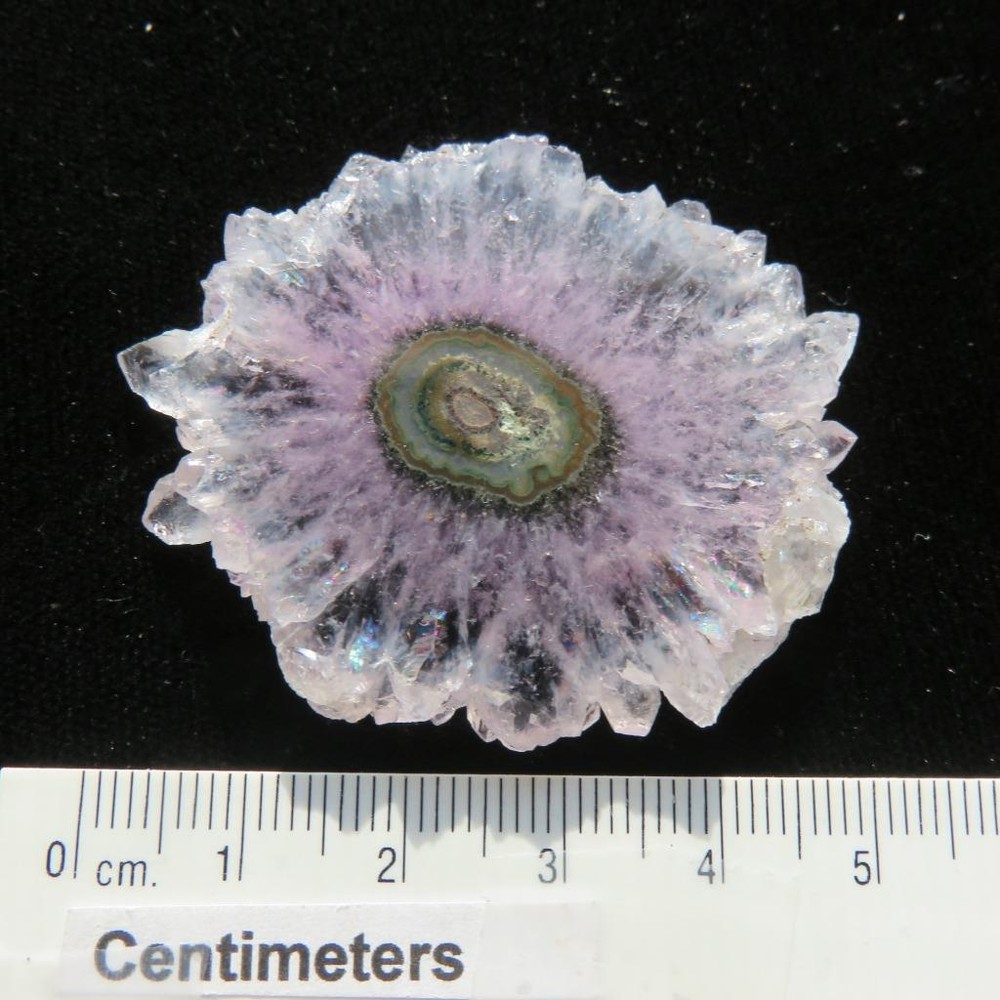 Stalactite Flower Slice Polished Both Sides U201