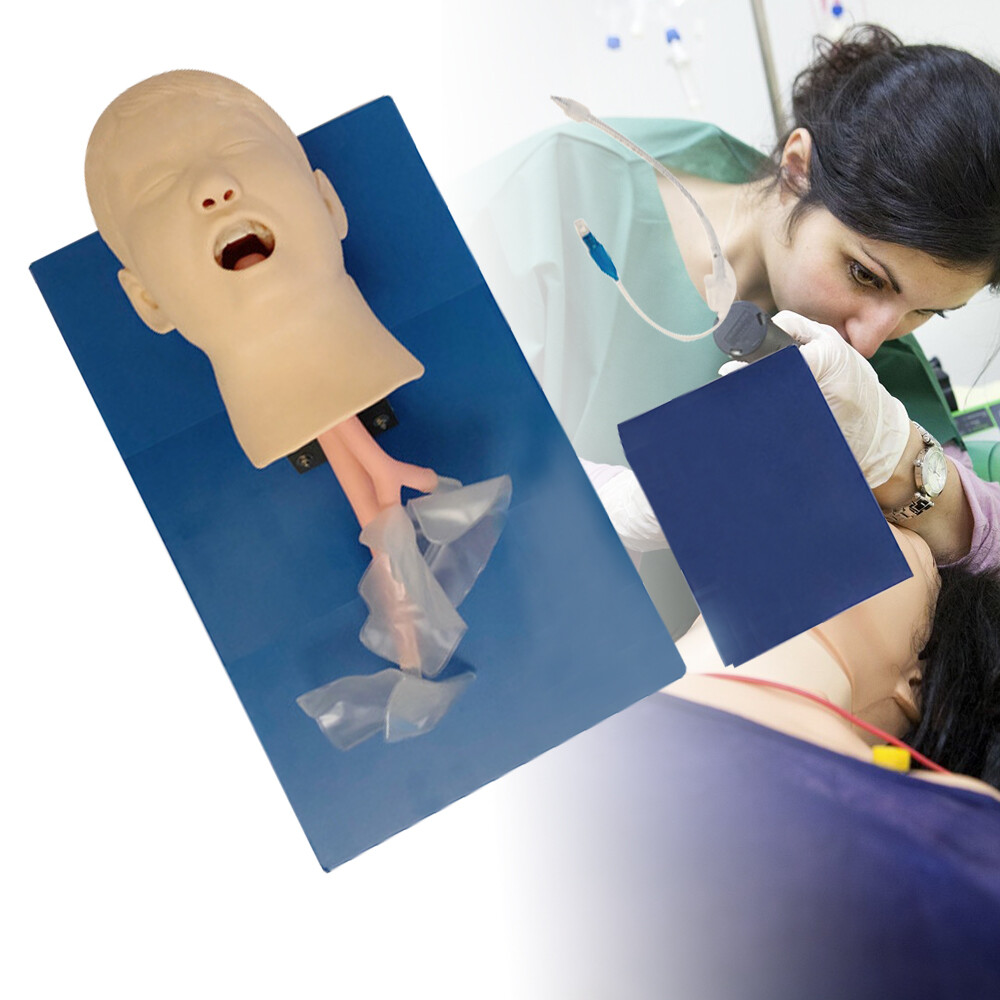Intubation Manikin Study Teaching Training Model Airway Management Trainer Model