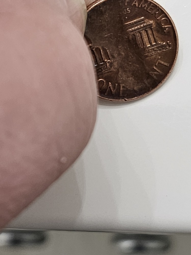 Rare 1973 D - Double Struck, & Struck Through Lincoln Cent