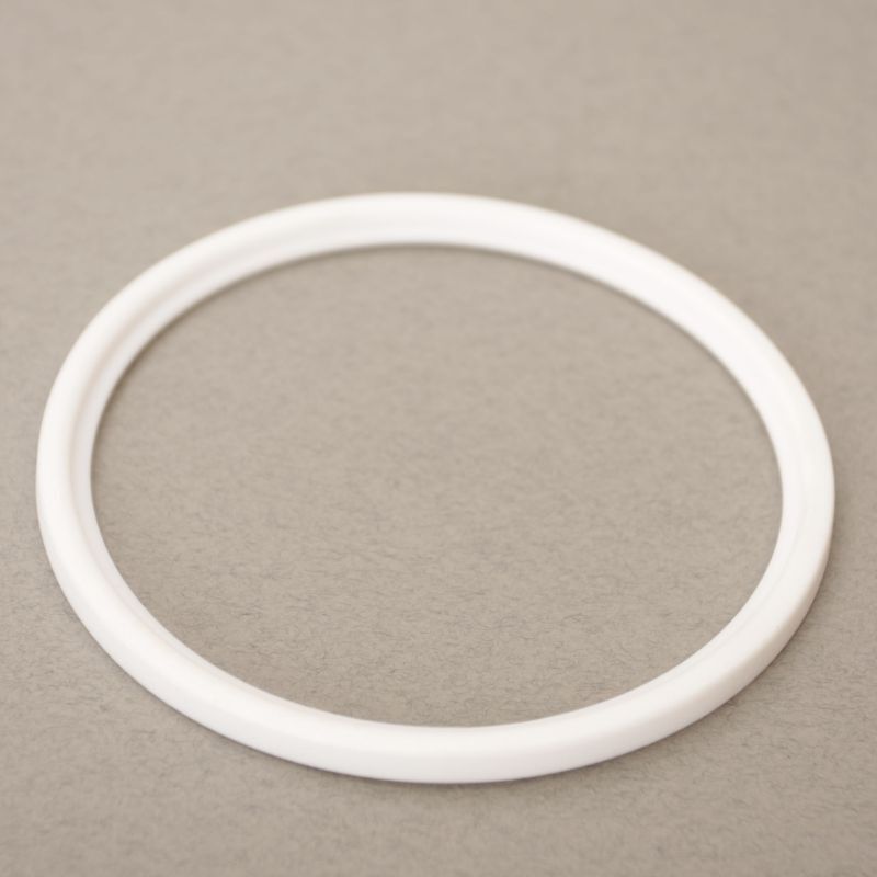 DIN Gasket | 100mm (4 in) - PTFE (2 Pack)