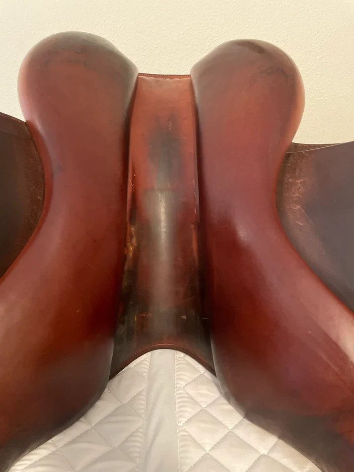 17" - 2017 Bruno Delgrange Partition, 4A Flap, Medium Tree