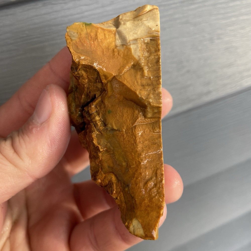 Custard Petrified Wood Rough 4.81 Oz