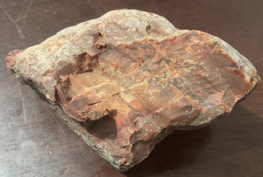 opalized petrified wood Arkansas Fossilized Agate Red
