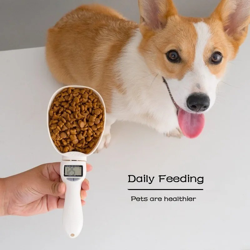 Digital Measuring Spoon Scale 800g/1g Precision
