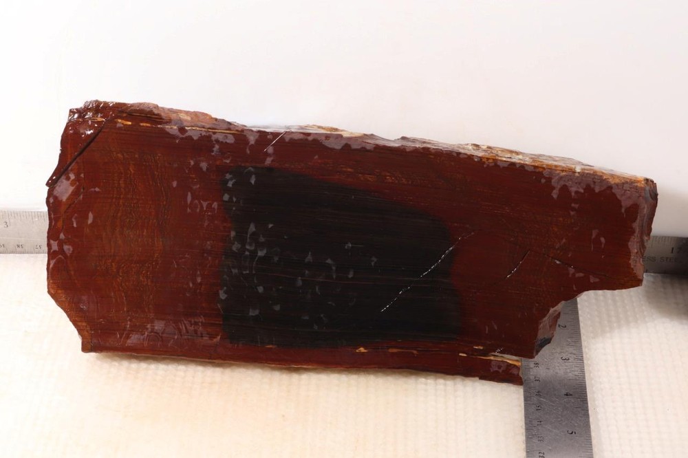 Biggs Scenic type Jasper lapidary 5 lb 10 oz end cut rough