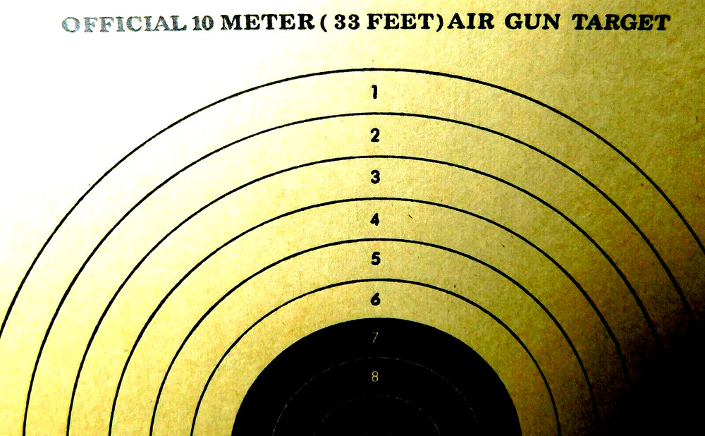 Marksman~Pellet Trap # 2085