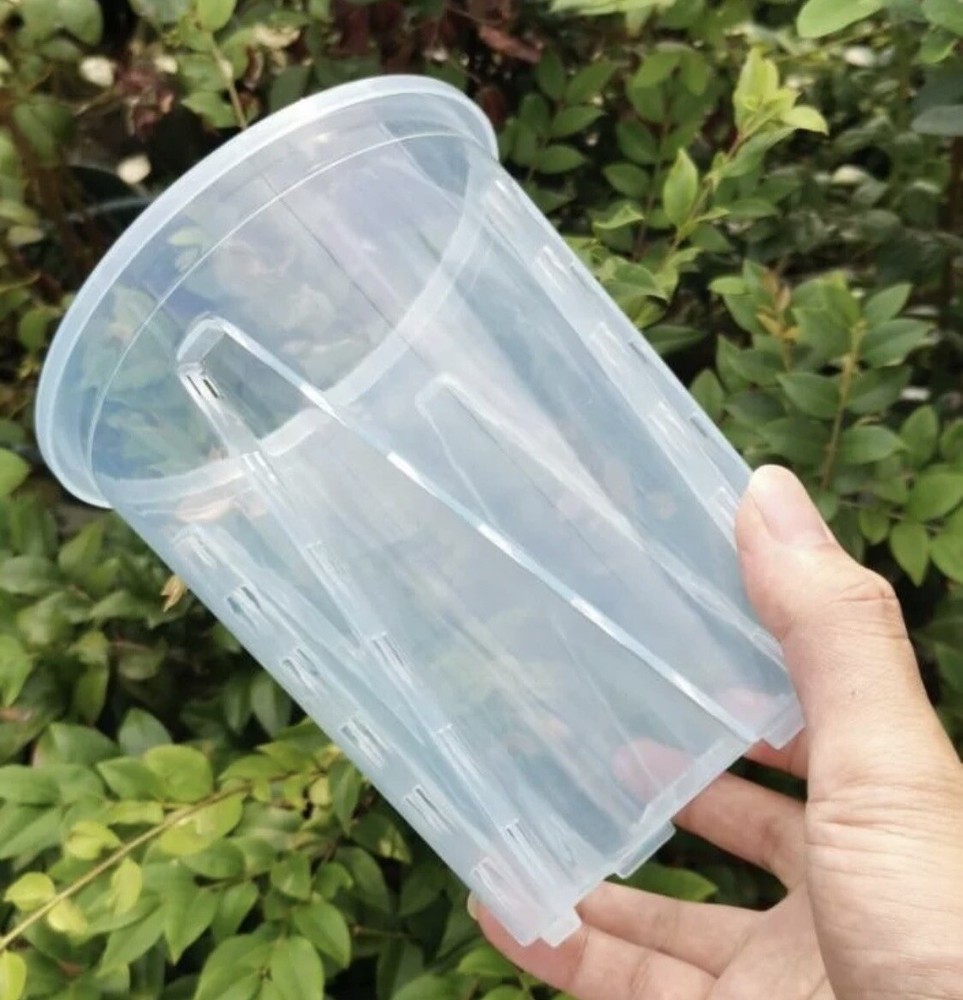 3 - 6” Clear Plastic Planters Tall