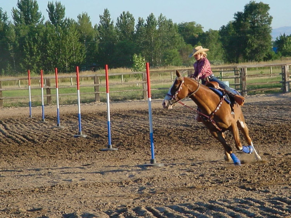 PBP-6, Red, White, Blue