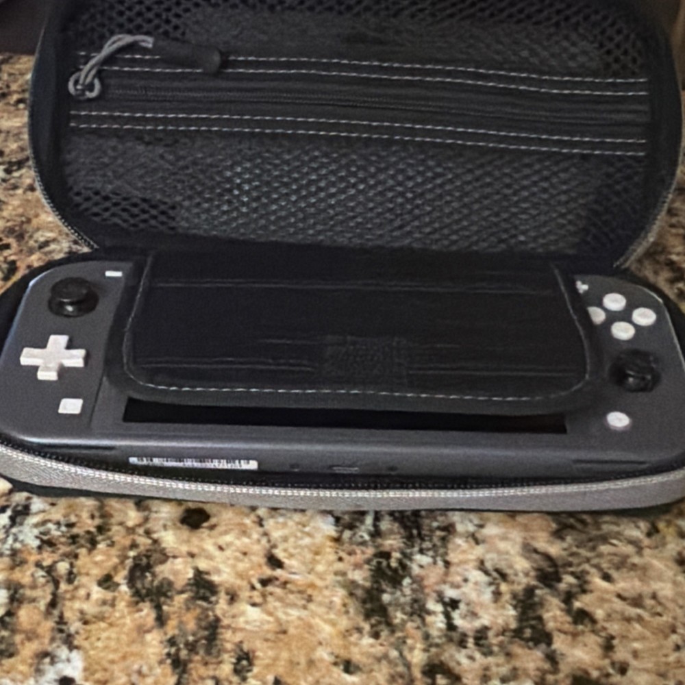 Nintendo Switch Lite Gray Handheld Console, No Analog Knobs, Case Included