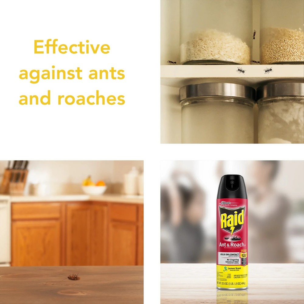 RAID ANT & ROACH KILLER (4-PACK!) Lemon Scent Spray Cans - 17.5 Oz. EA!