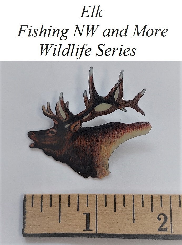 "1" Elk - Wildlife - Series