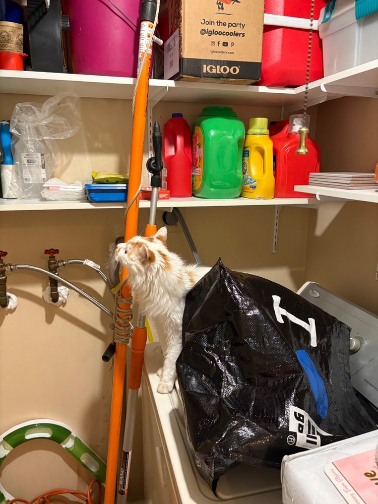 Fiskars Tree Pruner with long handle