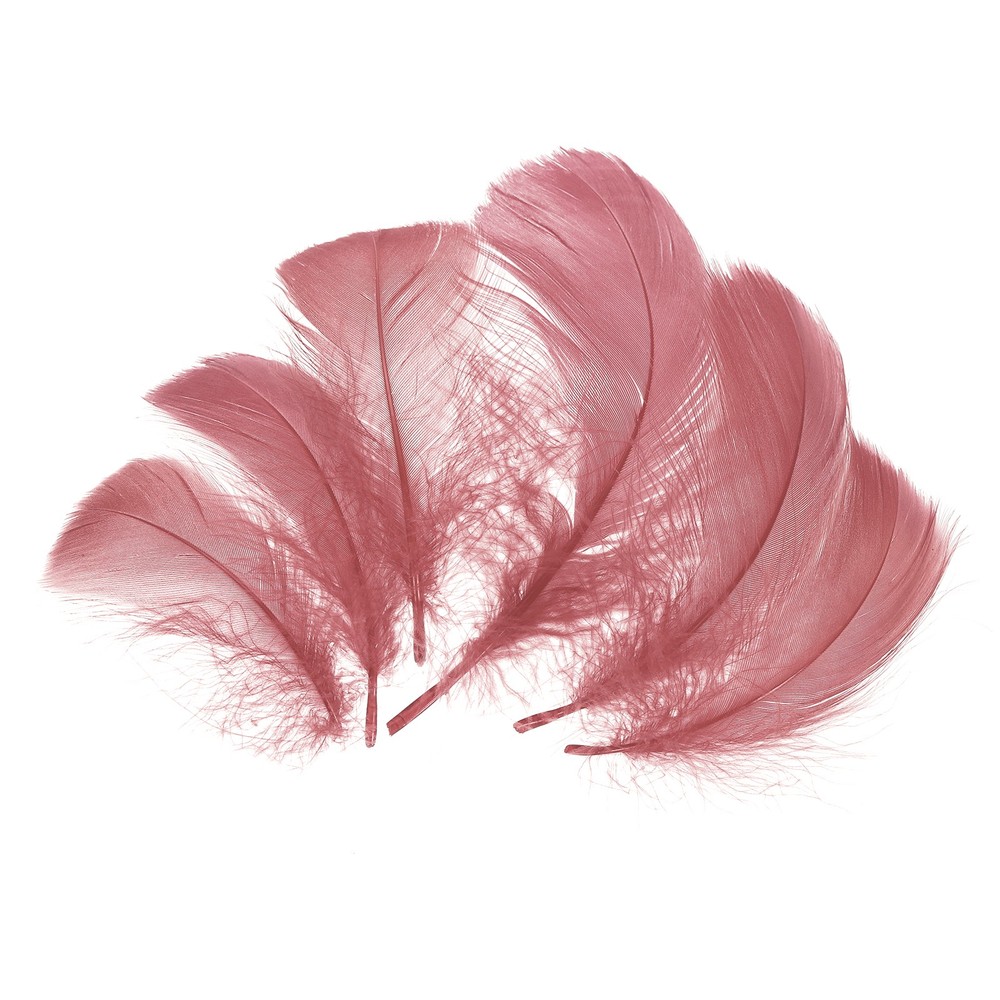 300 Pcs Crimson Craft Feathers, 2-4 Inch Colored Fluffy Feathers