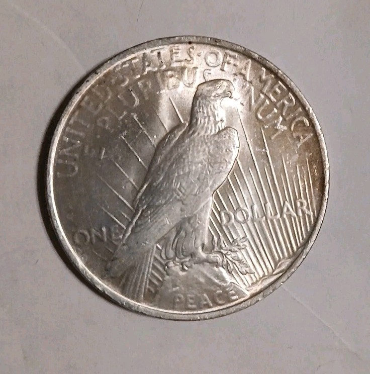 1923 P Peace Dollar 90% Silver Uncirculated • Obverse Toning