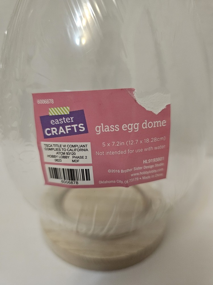 Glass Egg Dome W/ Wood Base Easter Crafts 7" Tall