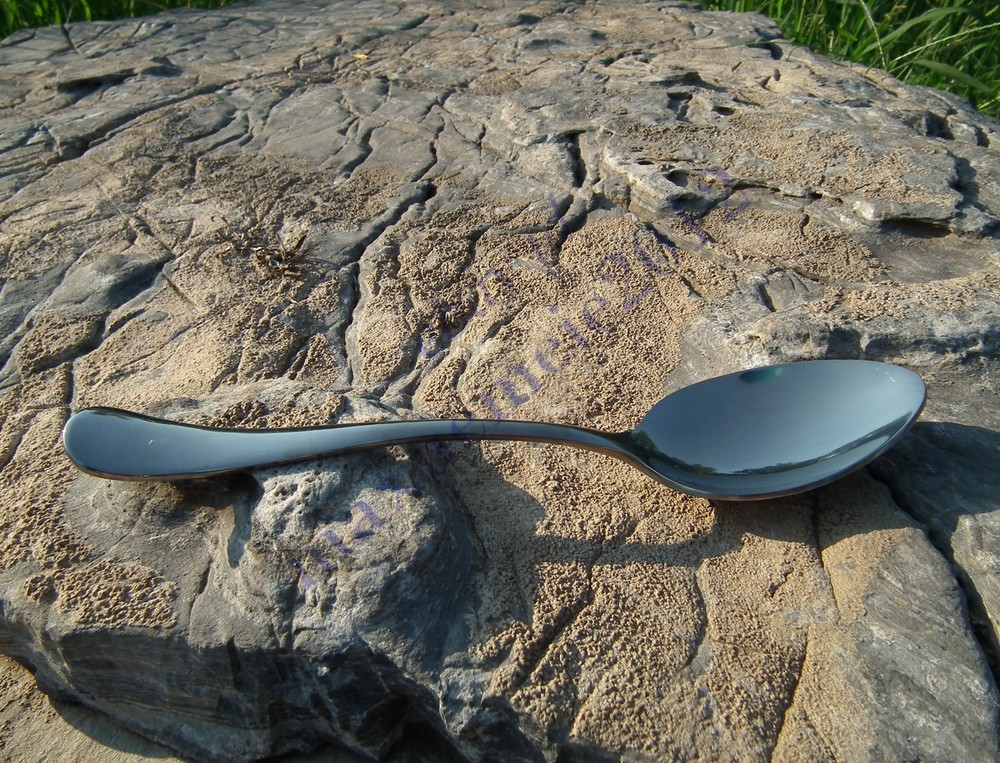 Spoon fork ti flatware dinerware cutlery outdoor kithen top grade UL