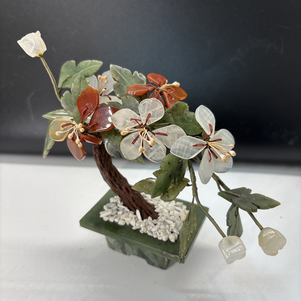 Curved Chinese Jade Tree