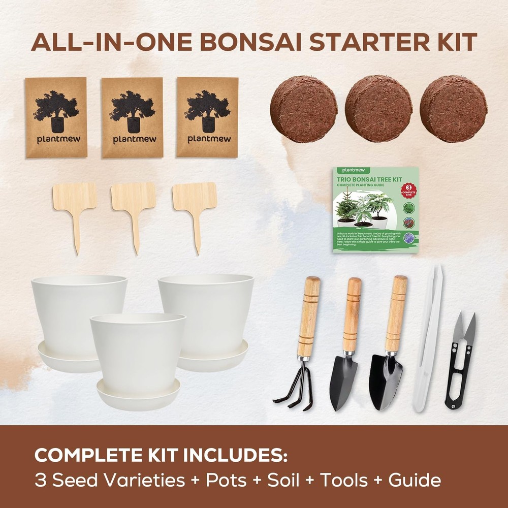Jacaranda Bonsai Starter Kit – Complete DIY Indoor Tree- 3Pack, Green
