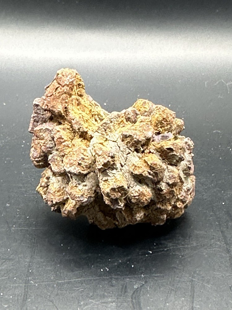 Dinosaur Coprolite -Fossilized- Genuine