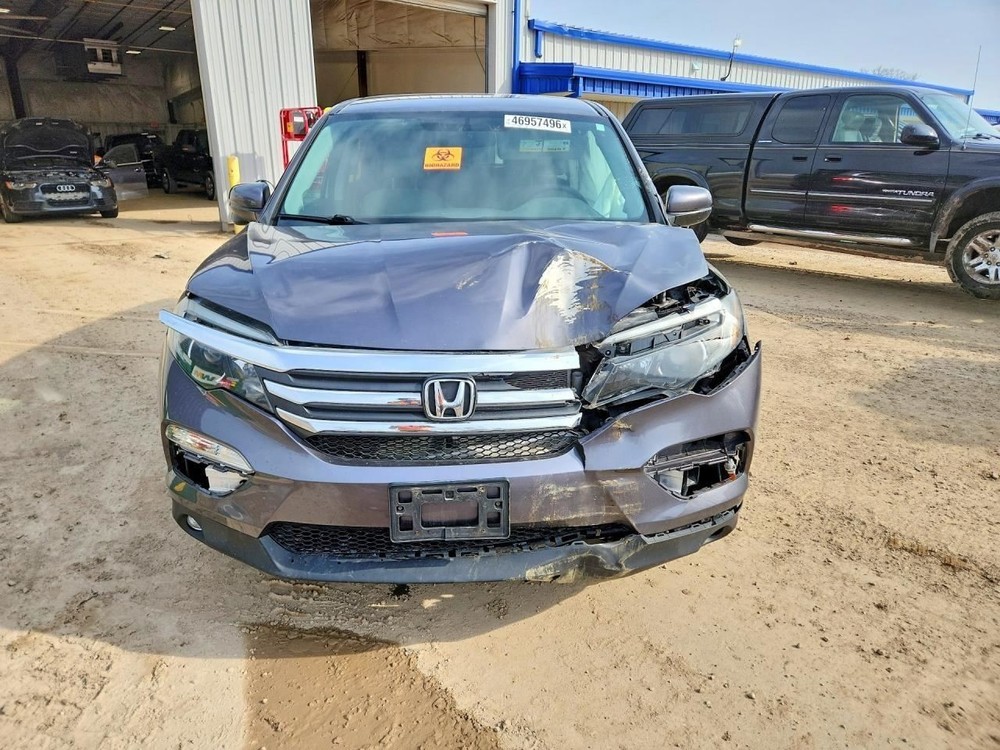 PILOT 2017 Jack 1552265