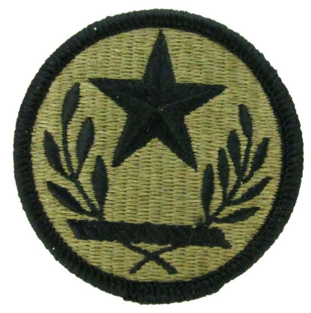 Texas Army National Guard OCP Patch - U.S. Army Patch