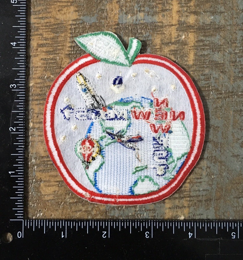 NASA NEWEST & NEWMAST Educational Program Patch Science Math Teachers ASTA